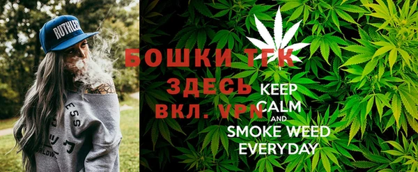индика Бугульма